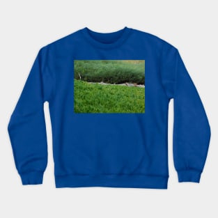 Troubled trunk Crewneck Sweatshirt